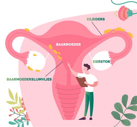 Schematische weergave van een vaginaal toucher tijdens de bevalling