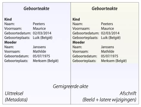 Voorbeeld van een gelegaliseerde buitenlandse geboorteakte met vertaling.