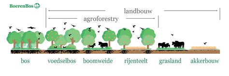 Diagram dat de verschillende aantallen spenen bij diverse zoogdiersoorten toont