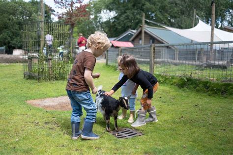 kinderen die dieren aaien op de kinderboerderij in Dierentuin Nordhorn