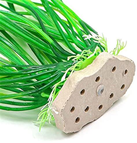 Een selectie van dierenposters met een zachte, natuurlijke uitstraling.