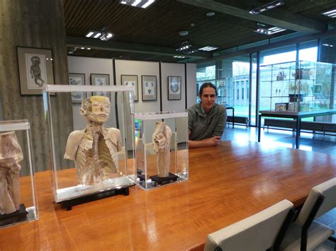 Studenten tijdens een practicum in het Anatomisch Museum