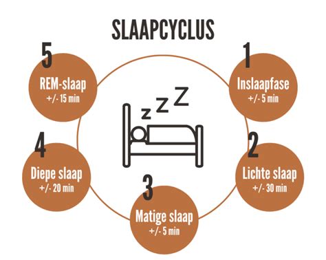 Schema dat de slaapcyclus van een kind weergeeft met actieve en stille slaapfasen.
