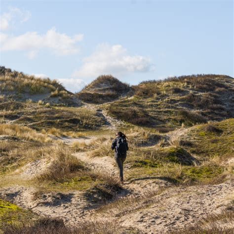 Landschap van het Noord-Hollandse Duinreservaat met paden voor wandelaars en fietsers