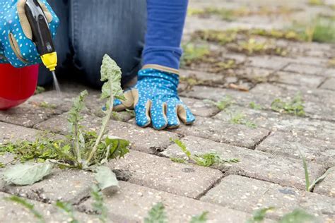 Illustratie van een persoon die een grastrimmer gebruikt om onkruid tussen terras tegels te verwijderen