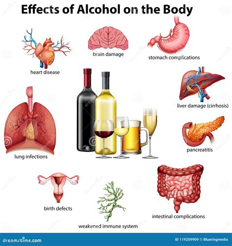 Illustratie die de schadelijke effecten van alcohol op een foetus toont