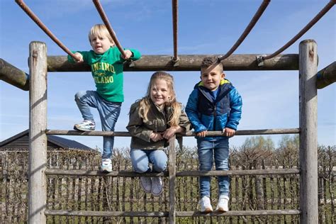 Kinderen die samen op skelters spelen