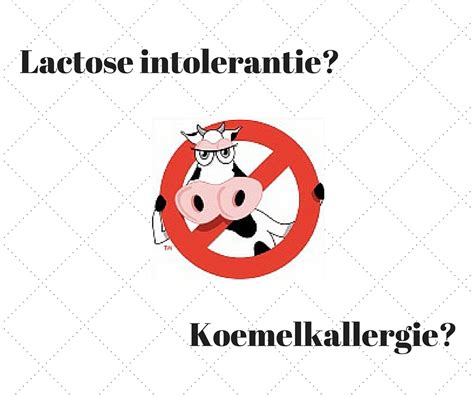 Vergelijkingstabel: Lactose-intolerantie vs. Koemelkallergie