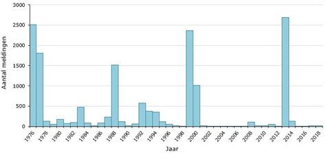 Grafiek die de daling van het aantal mazelenmeldingen sinds de invoering van het mazelenvaccin in het Rijksvaccinatieprogramma in 1976 laat zien.