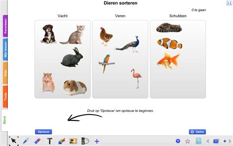 Kinderen die dieren sorteren op grootte