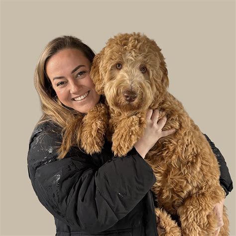 Een hond wordt getrimd met een tondeuse