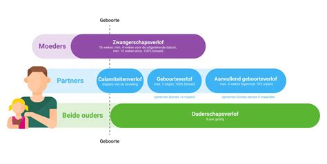 Infographic die de verschillende verlofregelingen voor vaders in Nederland toont