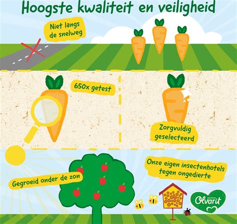 infographic met voedingswaarden van een Olvarit babymaaltijd