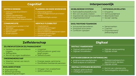 Infographic over de verschillende competenties van een cultuursensitieve professional.