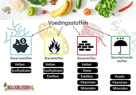 een grafische weergave van de voedingsstoffen in cactusvrucht