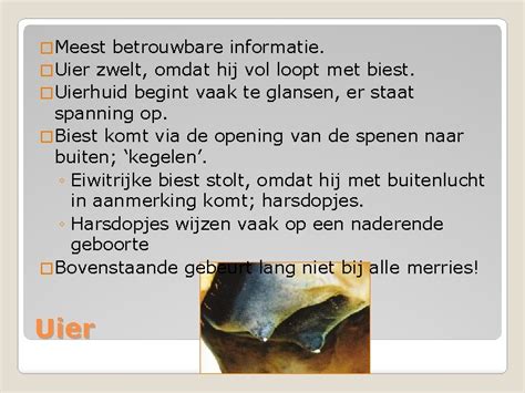 Uierontwikkeling bij de merrie als teken van naderende geboorte