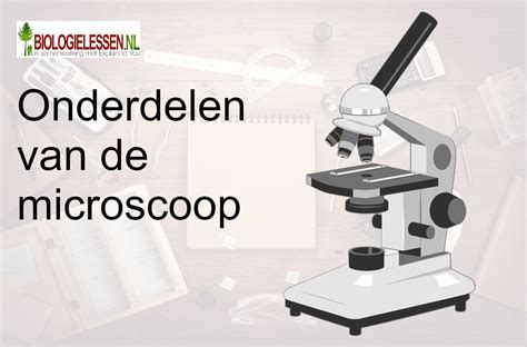 Embryo gezien door een microscoop