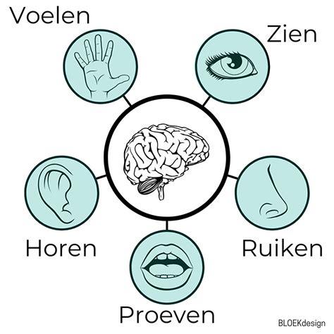 Illustratie van de drie primaire zintuigen: tastzin, evenwichtszin en proprioceptie.